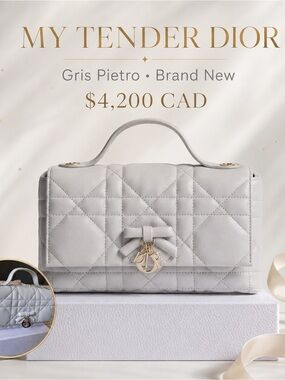 Dior My Tender Top Handle Bag in Gris Pietro Gray with Gold Hardware